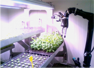 Camera di crescita rotante