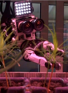 Braccio robotico in azione